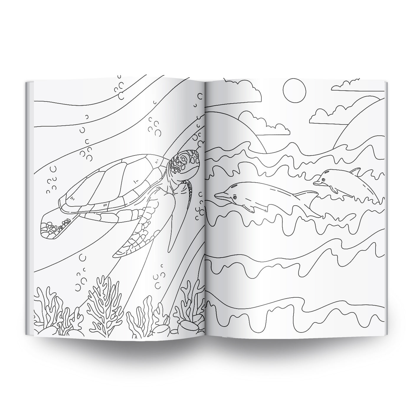 Hayvanların Dünyası - 16 Sayfa