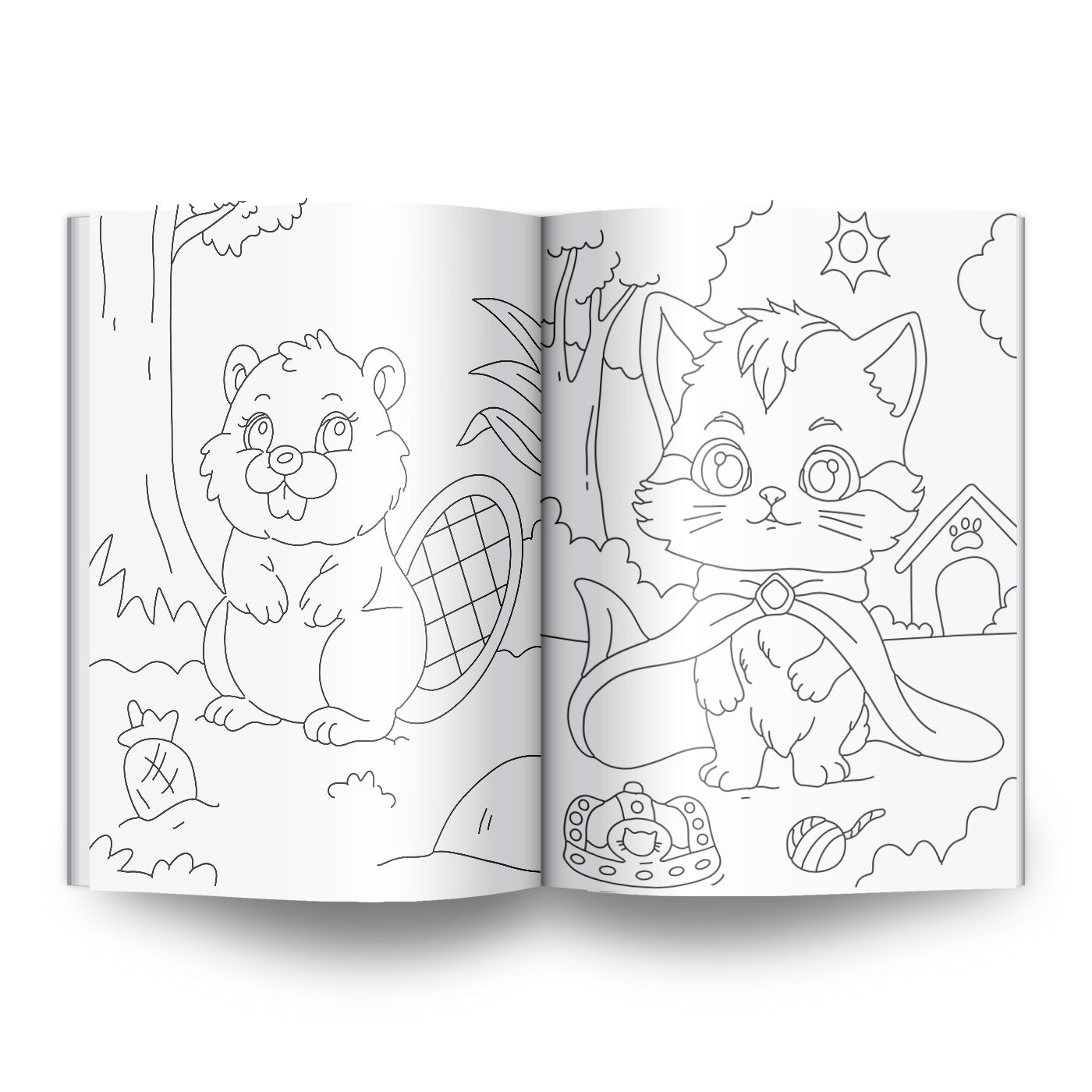 Dünya Arkadaşlarımız - 48 Sayfa