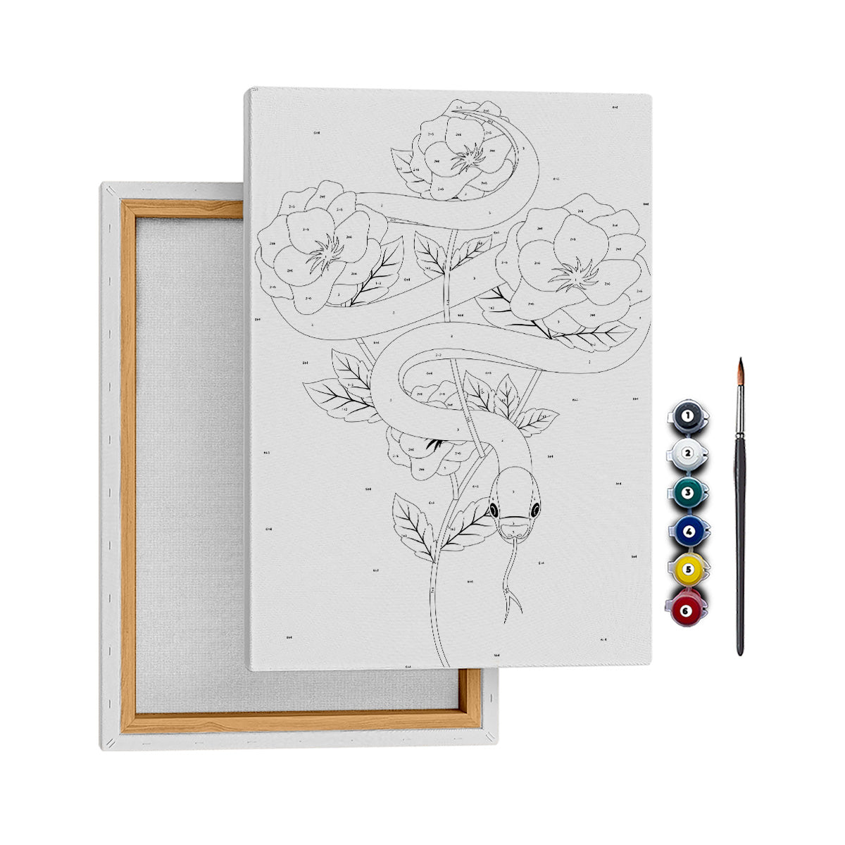 Gizemli Yılan - 50x70cm - Boyama Tablo